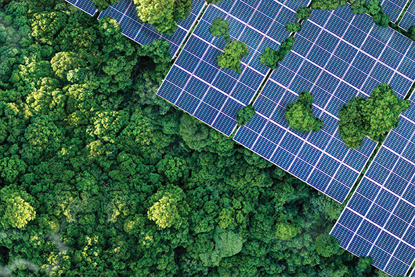 Aerial view of solar panels beside dense green forest canopy.
